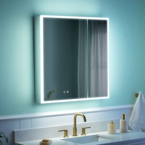 WELLFOR ELIN LED Medicine Cabinet with Mirror 30-in x 30-in Lighted LED Fog Free Surface/Recessed Mount Silver Mirrored Square Soft Close Medicine Cabinet with Outlet
