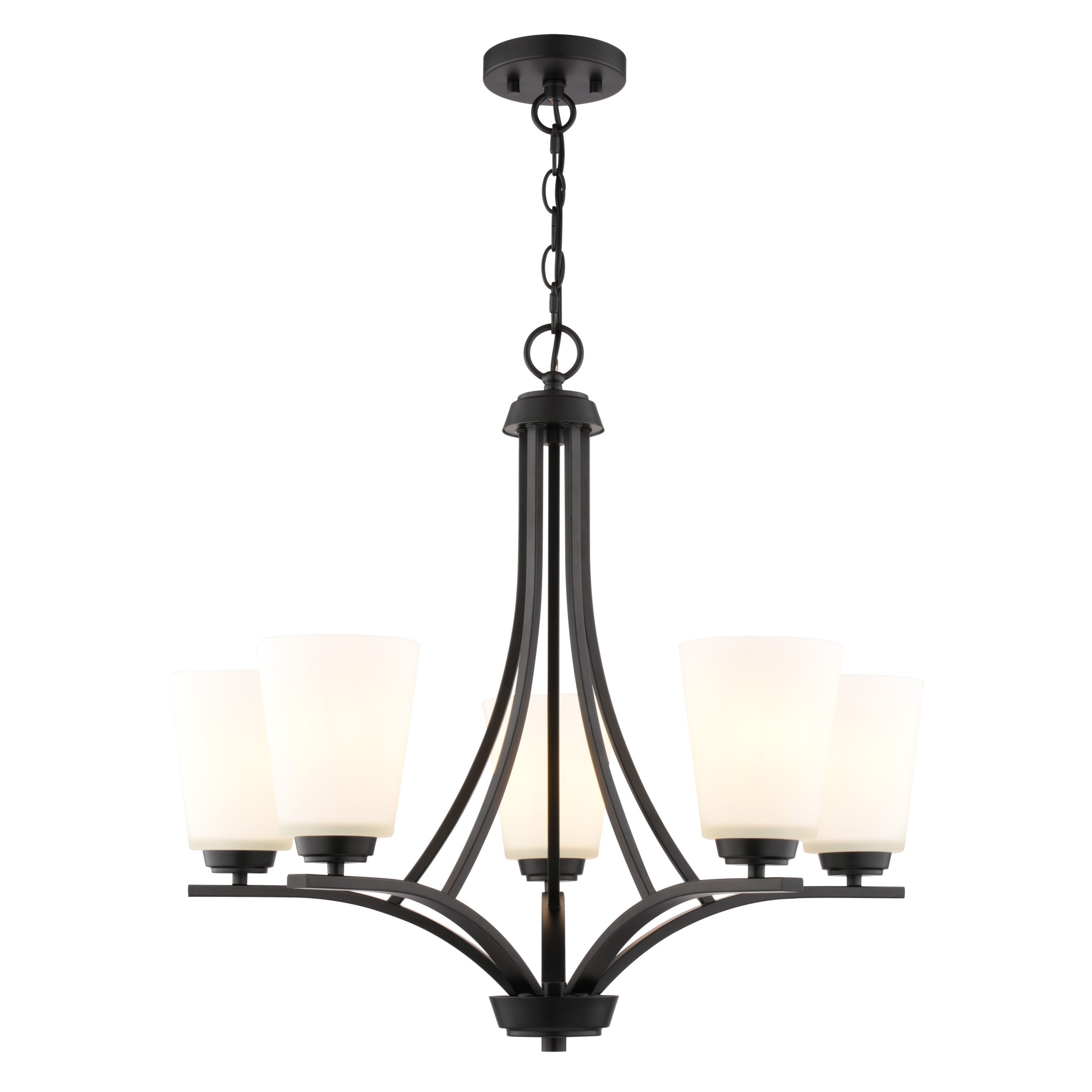 Cascadia River Grove 5 -Light Matte Black Textured glass Steel Chandelier - Image 8