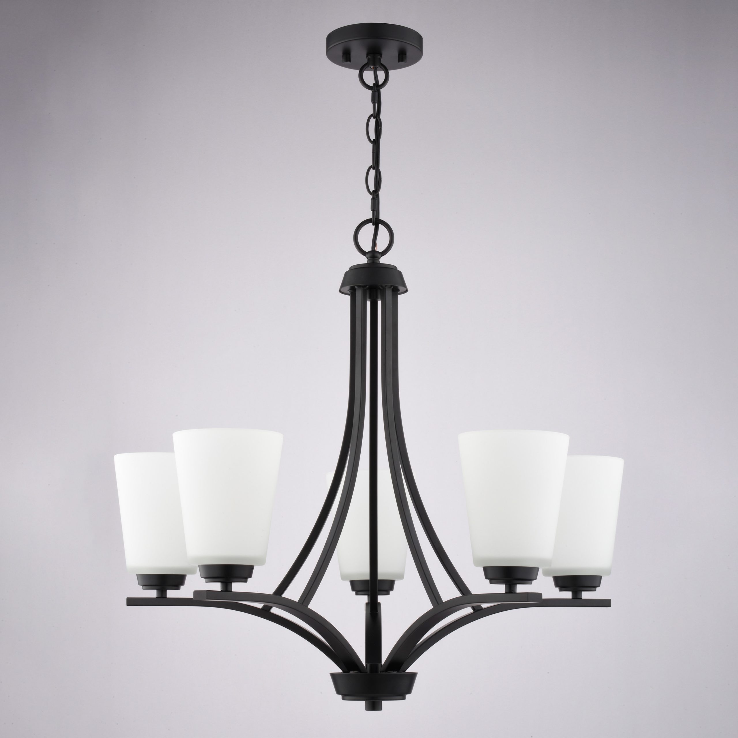 Cascadia River Grove 5 -Light Matte Black Textured glass Steel Chandelier - Image 10