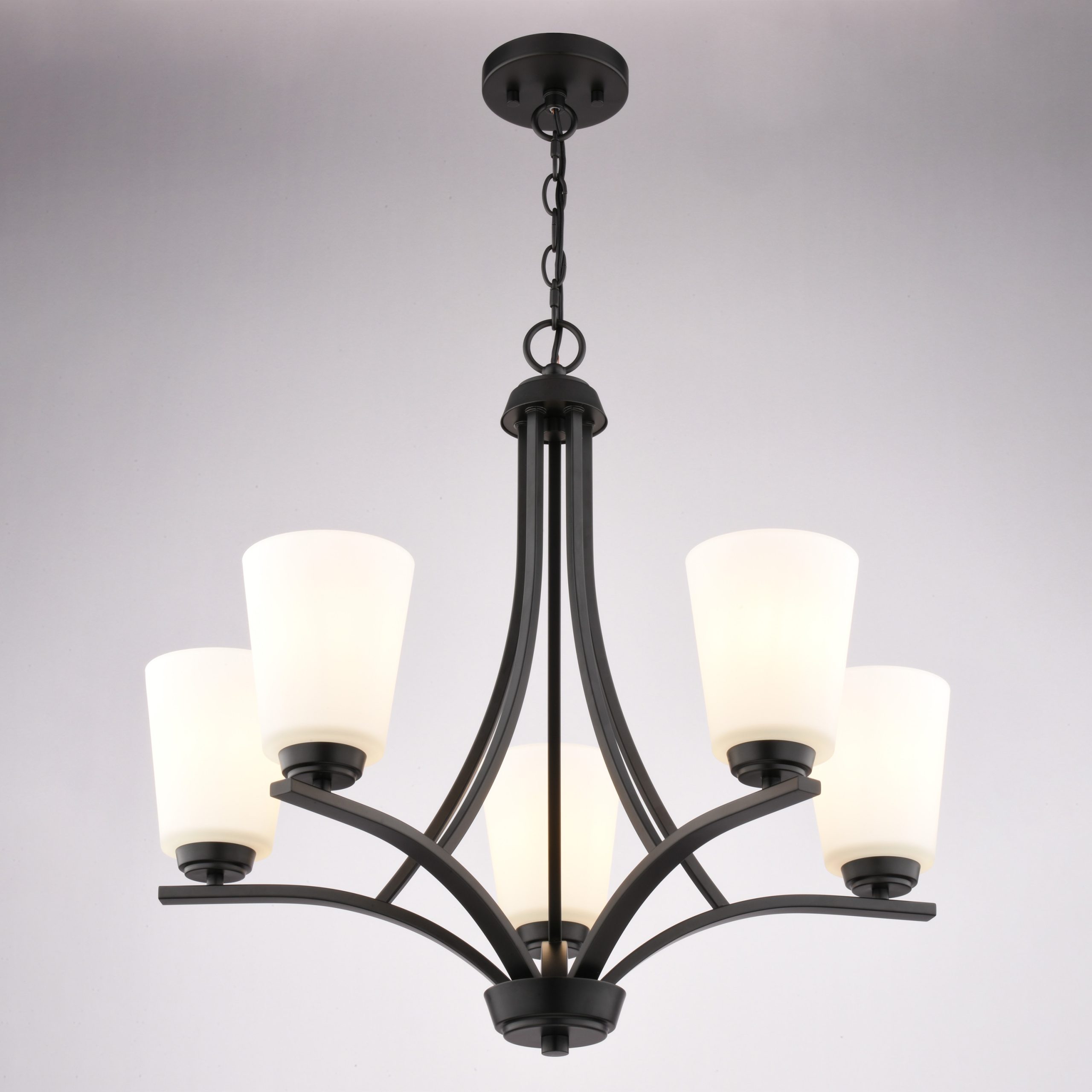 Cascadia River Grove 5 -Light Matte Black Textured glass Steel Chandelier - Image 11