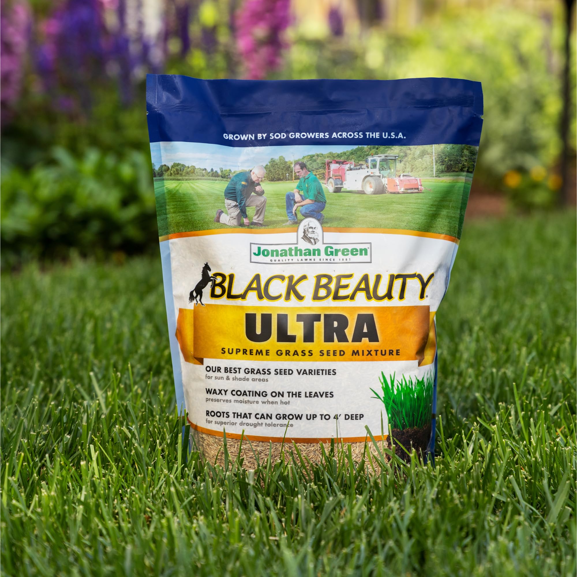 Jonathan Green Black Beauty Ultra Grass Seed - 25 lb Drought Tolerant Blend, For Sun & Shade Areas - Image 3