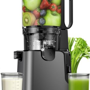 YPONE Juicer Machines 2-in-1 Cold Press Juicer Easy to Clean Titanium gray Making Juice, Nut Milk, 5.8" Large Chute , 400W Power Reverse Function With Pusher