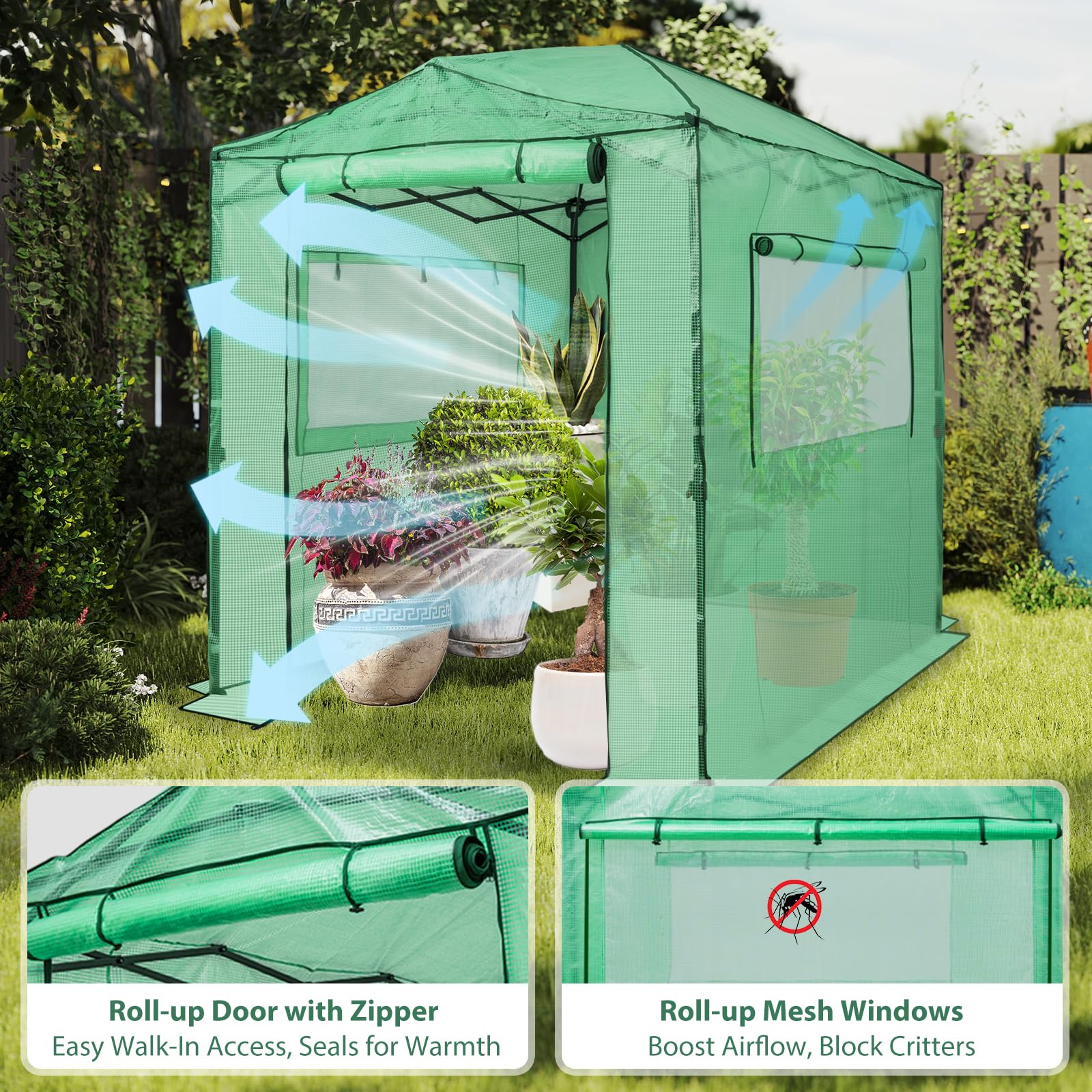 EAGLE PEAK 8x6 Easy Setup Pop Up Greenhouse, Clear/Green Walk-In Greenhouses for Outdoors, Green House for Winter Protection, Roll-Up Doors & Mesh Windows, One Person Setup - Image 2