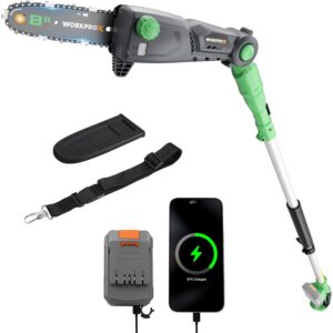 WORKPROX 20V Cordless Pole Saw, 15 FT Max Reach Pole Saw for Tree Trimming